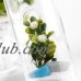 Tripod Support Round Shape Glass Plant Flower Landscape Vase Container   